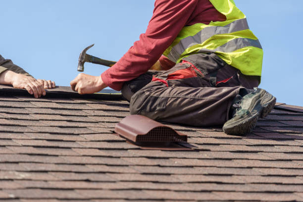 Best Storm Damage Roof Repair  in Lely, FL