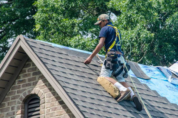 Roof Repair Estimates in Lely, FL
